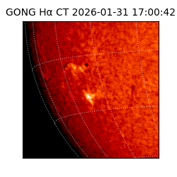 gong - 2026-01-31T17:00:42