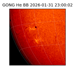 gong - 2026-01-31T23:00:02