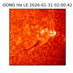 gong - 2026-01-31T02:00:42