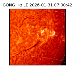 gong - 2026-01-31T07:00:42