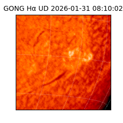 gong - 2026-01-31T08:10:02