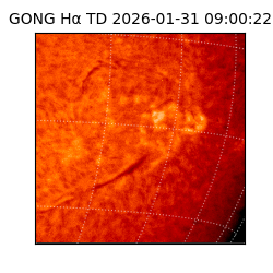 gong - 2026-01-31T09:00:22