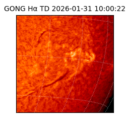 gong - 2026-01-31T10:00:22