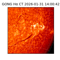 gong - 2026-01-31T14:00:42