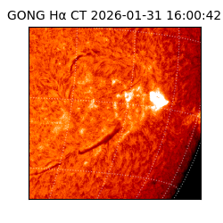 gong - 2026-01-31T16:00:42