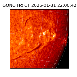 gong - 2026-01-31T22:00:42