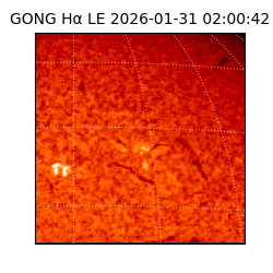 gong - 2026-01-31T02:00:42