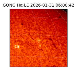 gong - 2026-01-31T06:00:42