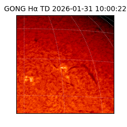 gong - 2026-01-31T10:00:22