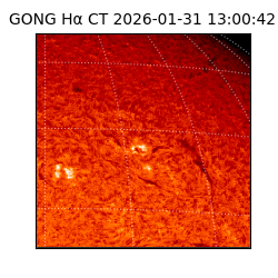 gong - 2026-01-31T13:00:42