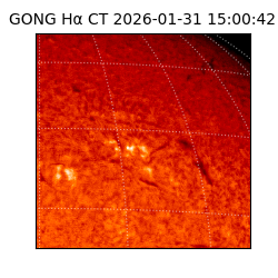 gong - 2026-01-31T15:00:42