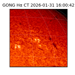 gong - 2026-01-31T16:00:42