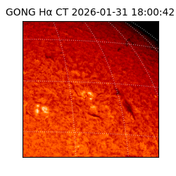 gong - 2026-01-31T18:00:42