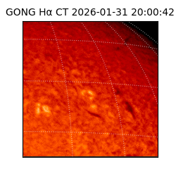 gong - 2026-01-31T20:00:42