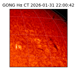gong - 2026-01-31T22:00:42