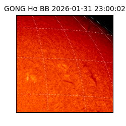 gong - 2026-01-31T23:00:02