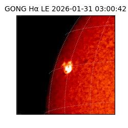 gong - 2026-01-31T03:00:42
