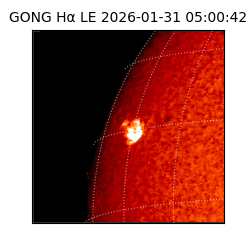 gong - 2026-01-31T05:00:42