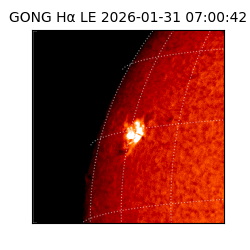 gong - 2026-01-31T07:00:42