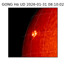 gong - 2026-01-31T08:10:02
