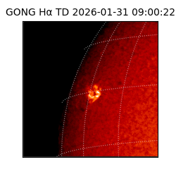 gong - 2026-01-31T09:00:22