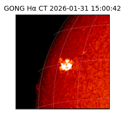 gong - 2026-01-31T15:00:42