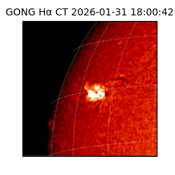gong - 2026-01-31T18:00:42