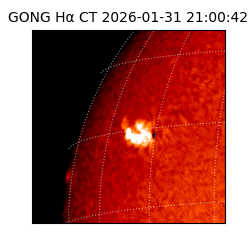 gong - 2026-01-31T21:00:42