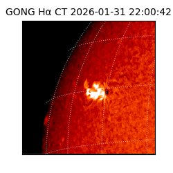 gong - 2026-01-31T22:00:42