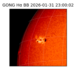 gong - 2026-01-31T23:00:02