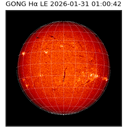 gong - 2026-01-31T01:00:42