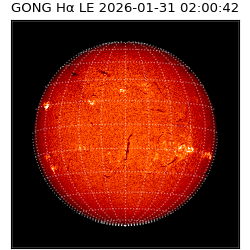 gong - 2026-01-31T02:00:42