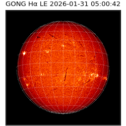 gong - 2026-01-31T05:00:42