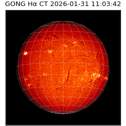 gong - 2026-01-31T11:03:42