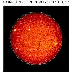 gong - 2026-01-31T14:00:42