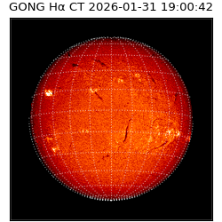 gong - 2026-01-31T19:00:42