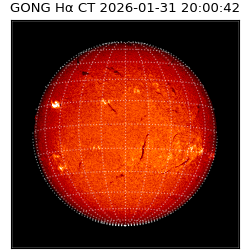 gong - 2026-01-31T20:00:42
