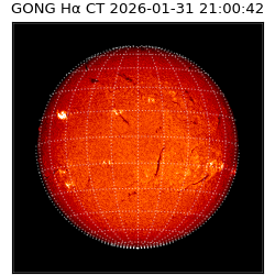 gong - 2026-01-31T21:00:42