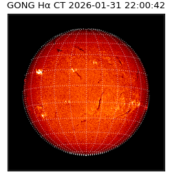 gong - 2026-01-31T22:00:42