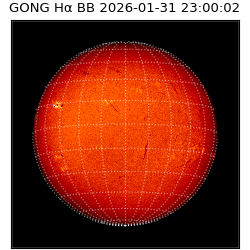 gong - 2026-01-31T23:00:02