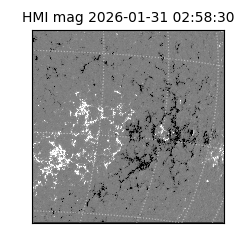 shmi - 2026-01-31T02:58:30.700000