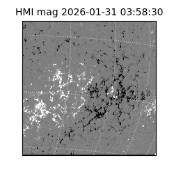 shmi - 2026-01-31T03:58:30.700000