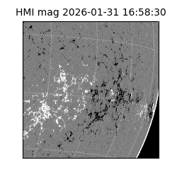 shmi - 2026-01-31T16:58:30.500000