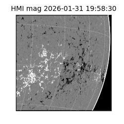 shmi - 2026-01-31T19:58:30.500000