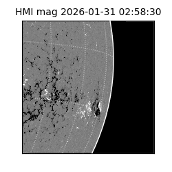 shmi - 2026-01-31T02:58:30.700000