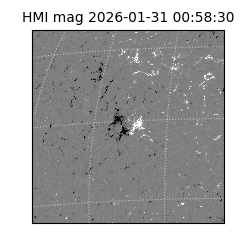 shmi - 2026-01-31T00:58:30.600000