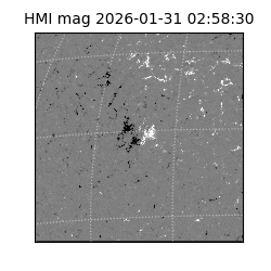 shmi - 2026-01-31T02:58:30.700000