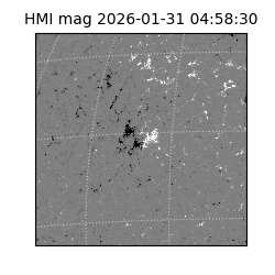 shmi - 2026-01-31T04:58:30.700000