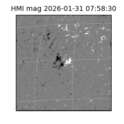 shmi - 2026-01-31T07:58:30.800000