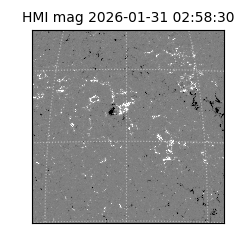 shmi - 2026-01-31T02:58:30.700000